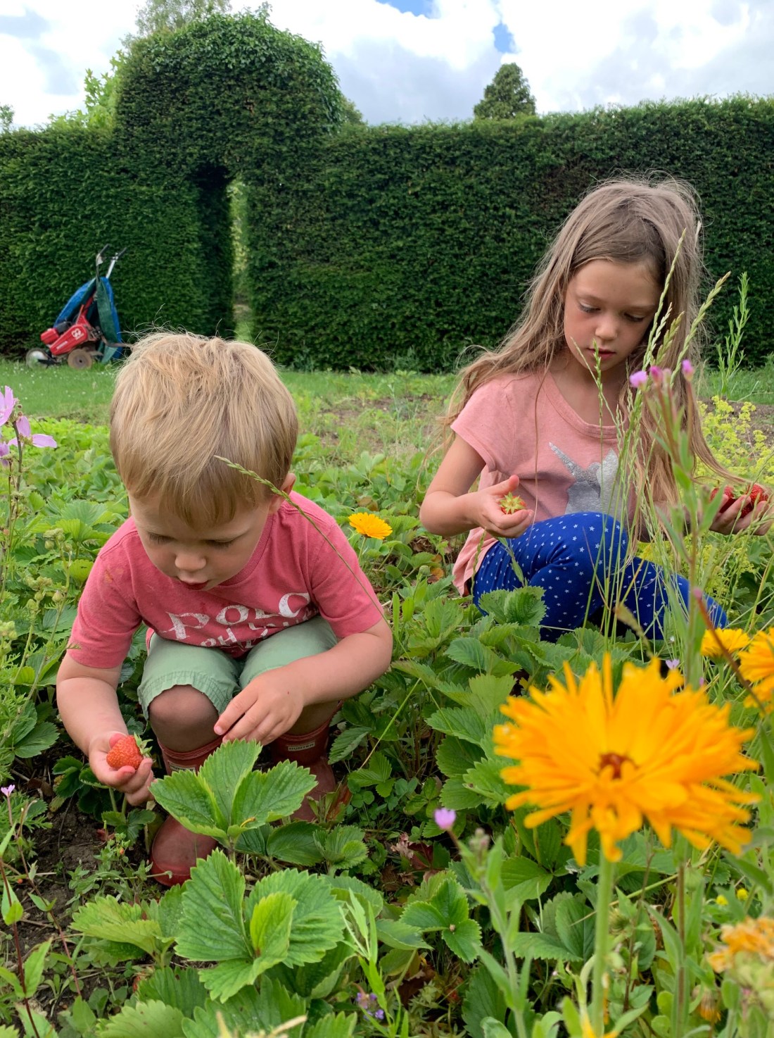 Strawberry Patch Feast